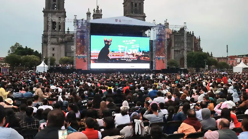 Flow en el Zócalo 